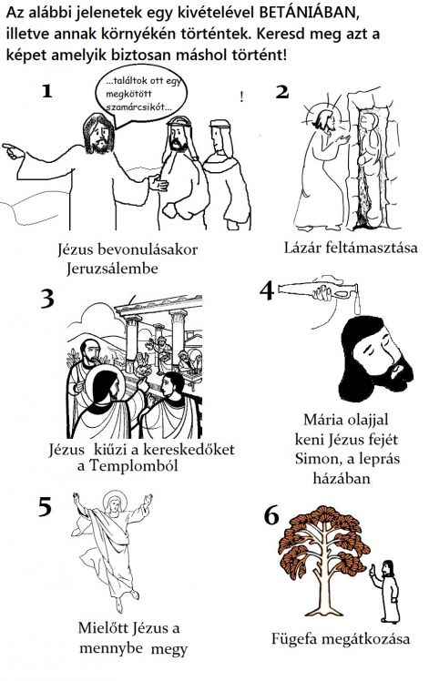 betaniaban_kakukktojas.jpg betaniaban_kakukktojas.jpg