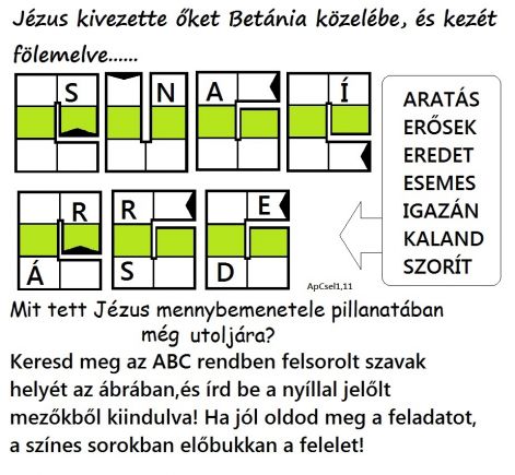 szokukac_apcsel111.jpg szokukac_apcsel111.jpg