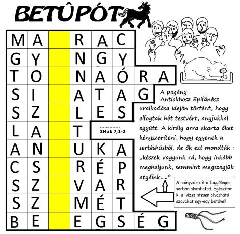 2mak_71-2_betupotlo2.jpg