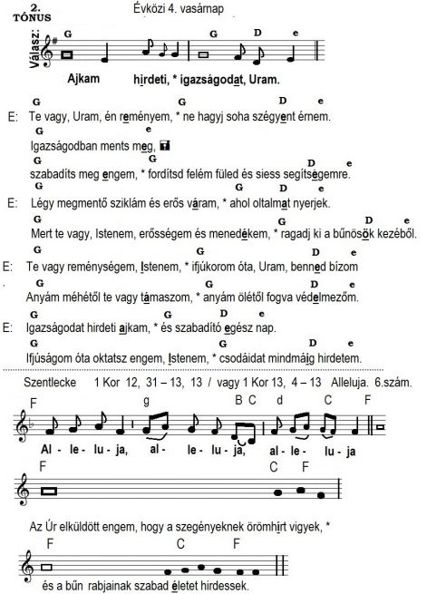 44evkozi_4..jpg 44evkozi_4..jpg