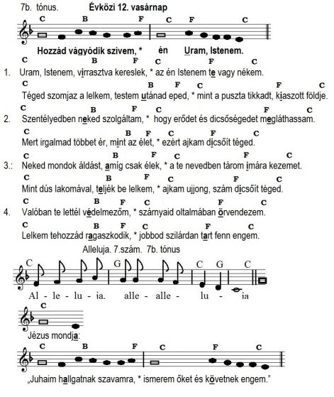 52evkozi_12..jpg 52evkozi_12..jpg