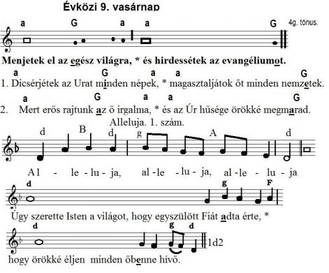 57_evkozi_9._vasarnap.jpg