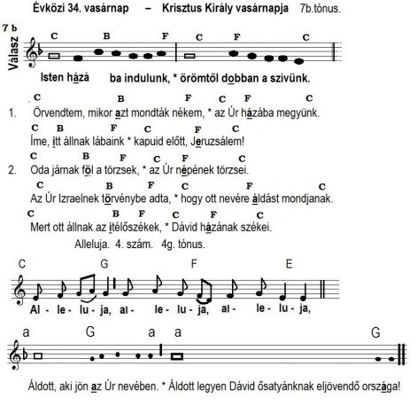 74evkozi_34..jpg 74evkozi_34..jpg