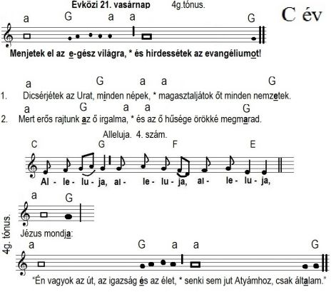 80_evkozi_21..jpg