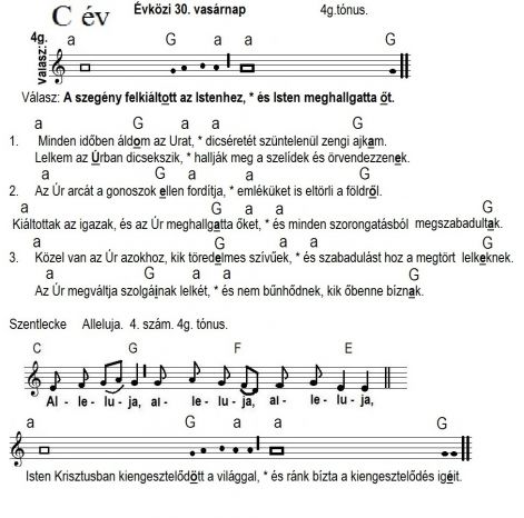 89_evkozi_30..jpg