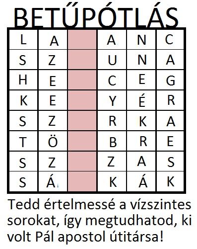 apcsel_1314._betupo.jpg