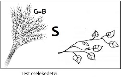 babonasag.jpg babonasag.jpg