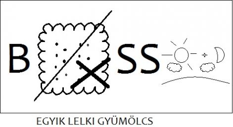 bksseg.jpg