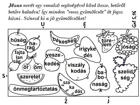 gal_516_vonalzos.jpg