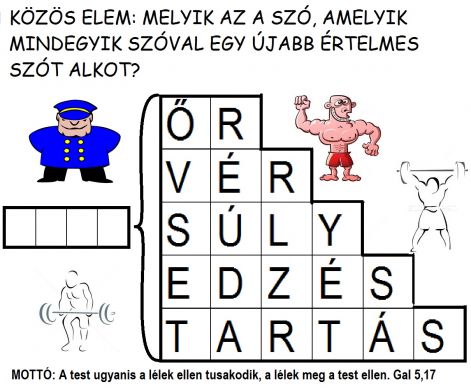 gal_517_kozoselemtest.jpg