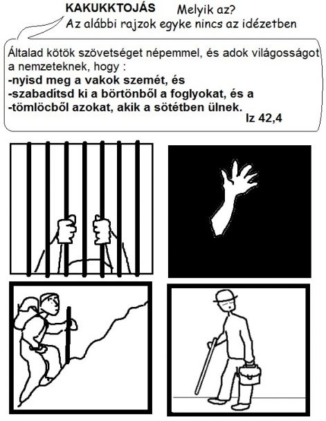 iz424_kakukk.jpg