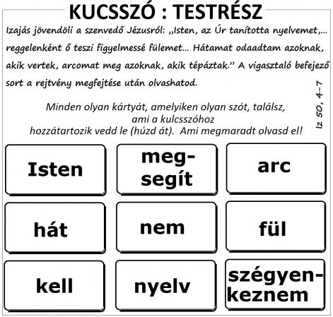 iz_504-7_ugynok.jpg