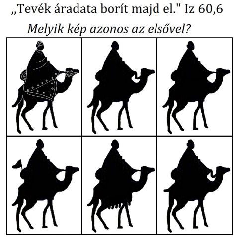 iz_606_teves.jpg