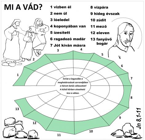 jn_81-11_hazasstor.jpg