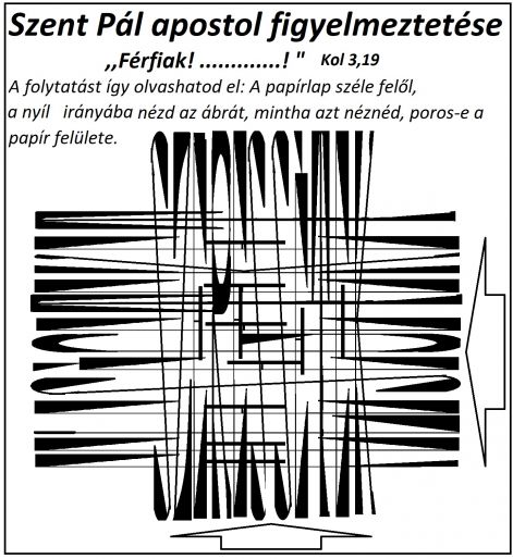 kol_319_ffiak.jpg