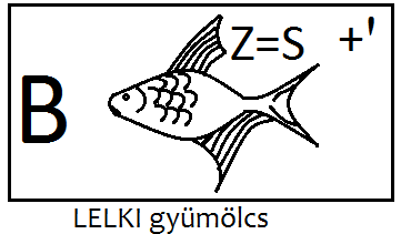lelkigyumolcs_bek.png