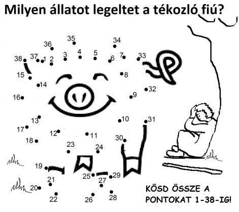 lk_1515_diszno.jpg