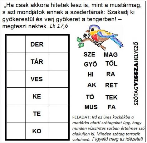 lk_175-10_szotagvisszahelyezo.jpg