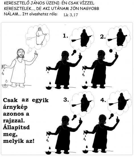 lk_317_arnykep.jpg