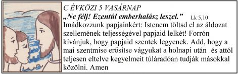lk_510_cev_5.jpg