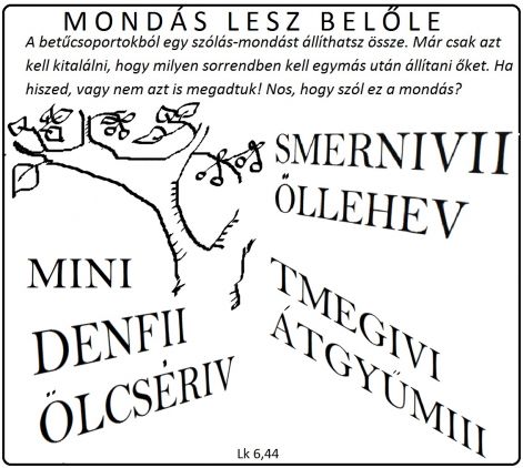 lk_644_gyumolcs.jpg