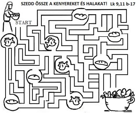 lk_911_b-17_szaporitas_lab.jpg lk_911_b-17_szaporitas_lab.jpg