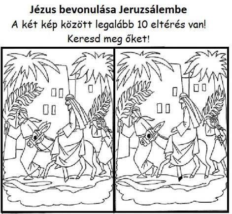 mt_212_viragvas_kulkereses.jpg