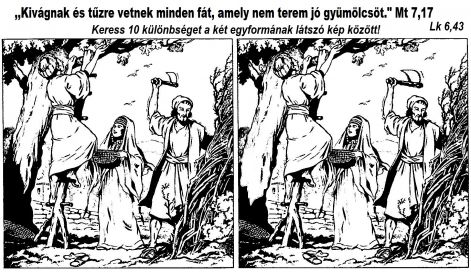 mt_717_gyumolcstelen.jpg