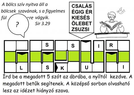 sir_329_kukac.jpg