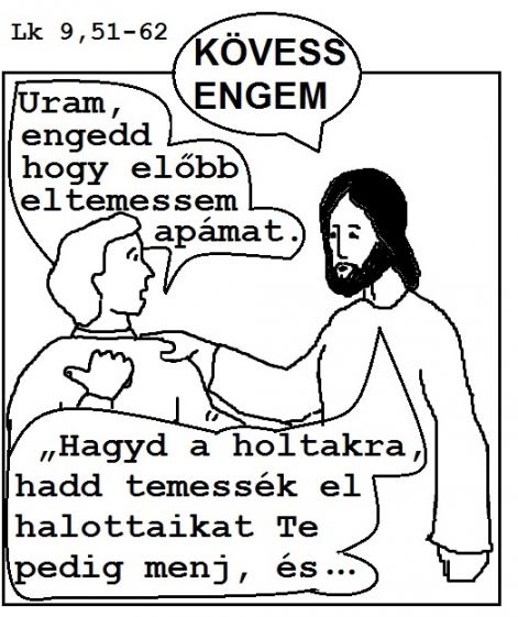 skandii_illusztracio.jpg