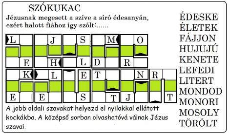 szokukac_ifju.jpg