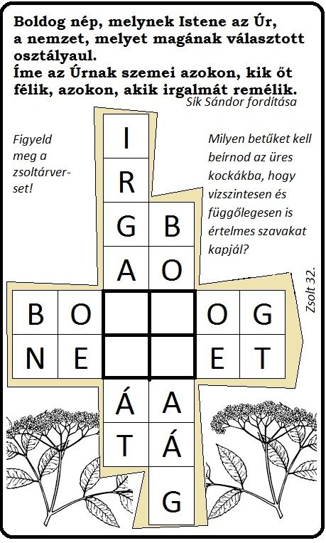zsolt_32_bodzaag.jpg
