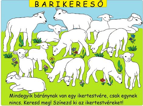 barany_ikrek_szines.jpg