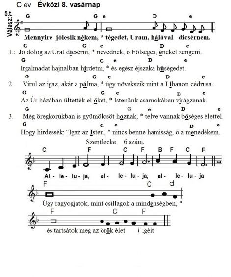 56_cevkozi_8._vasarnapzs91.jpg