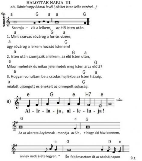 88_nov2_halottak_napja3.zs_42.jpg 88_nov2_halottak_napja3.zs_42.jpg