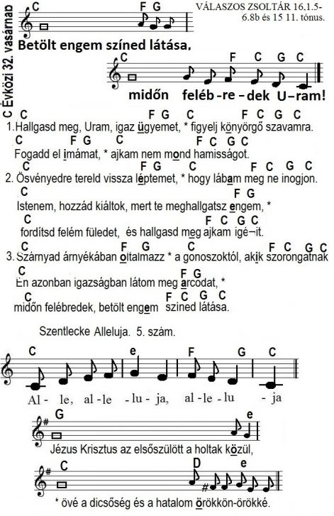 91._evkozi_32.zs16.jpg